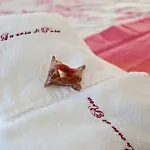 Bed & Breakfast La Casa Di Rosa Vago