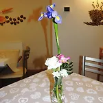 La Casa Di Rosa Vago